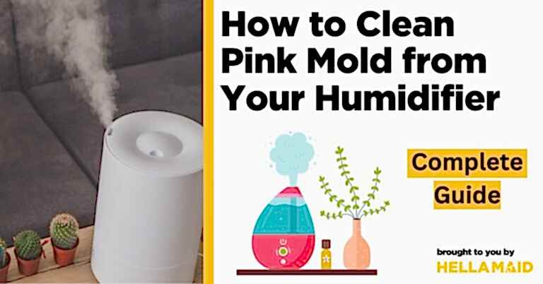 how to clean pink mold from humidifier